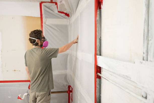 Best Crawl Space Mold Remediation  in Rogers, MN
