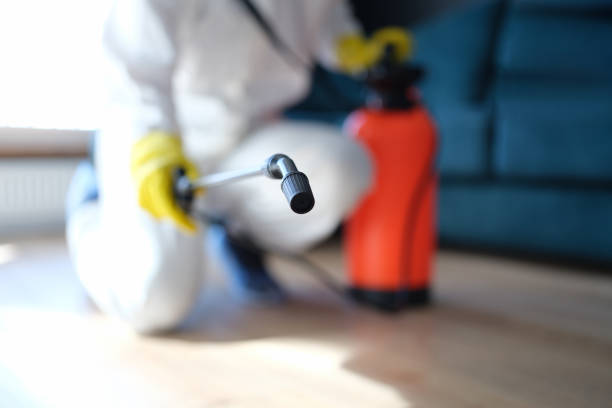 Best Mold Remediation for Healthcare Facilities  in Rogers, MN