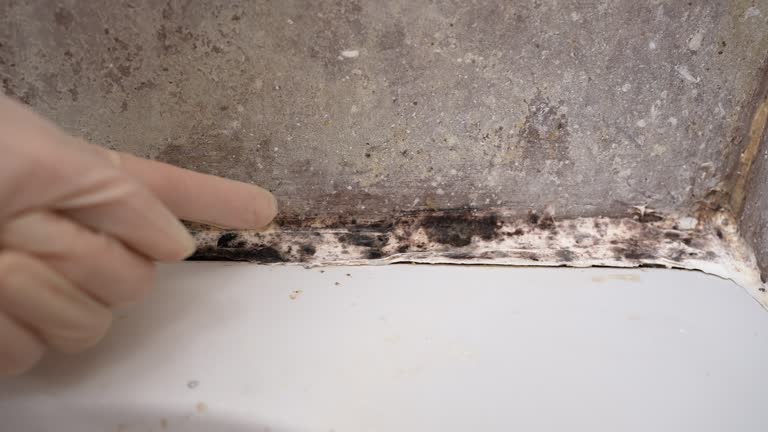 Best Residential Mold Inspection & Testing  in Rogers, MN